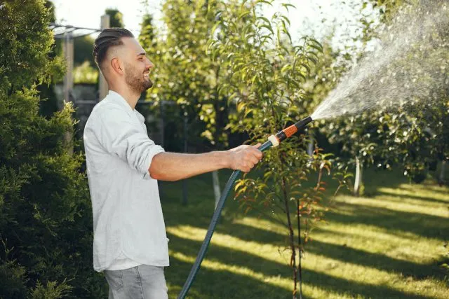 Jak utrzymać trawnik w pięknym stanie przez cały rok?
